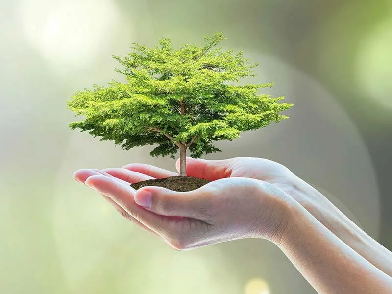 エポキシ樹脂固化炉 熱処理機械 トランスフォーマー炉 8